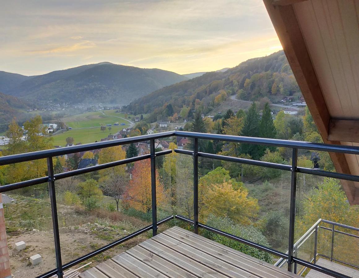 Au Chalet De Jo Muhlbach-sur-Munster Esterno foto