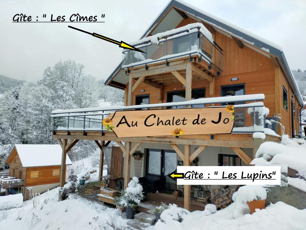 Au Chalet De Jo Muhlbach-sur-Munster Esterno foto
